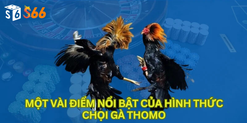 Một vài điểm nổi bật của hình thức chọi gà Thomo